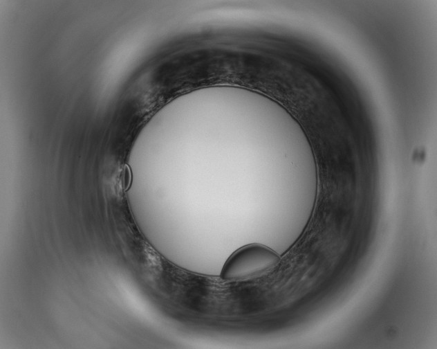 X0000115650766200911241734