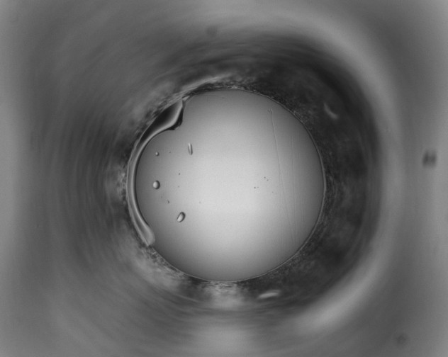 X0000115650767200911241734