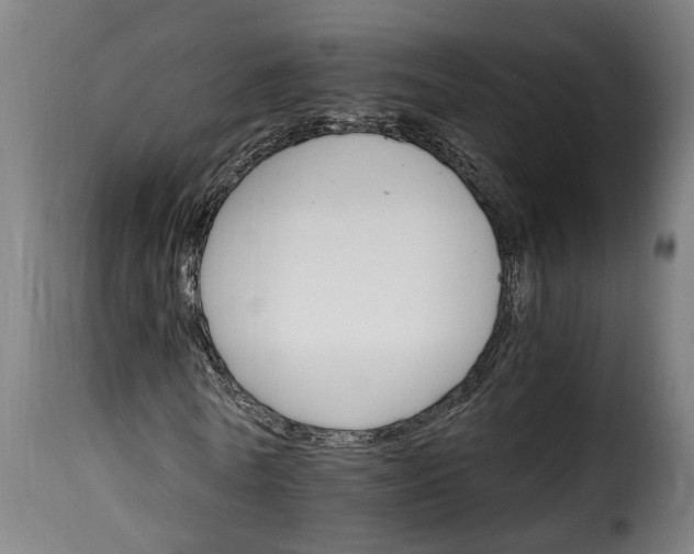 X0000115650770200911241733