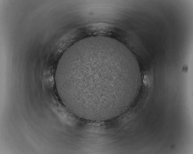 X0000115650771200911241733