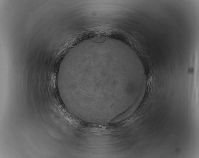 X0000115650772200911241733