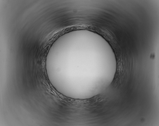 X0000115650773200911241733