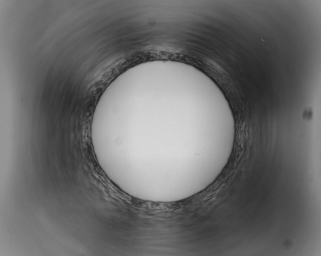 X0000115650774200911241733