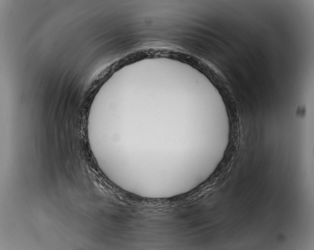 X0000115650775200911241733