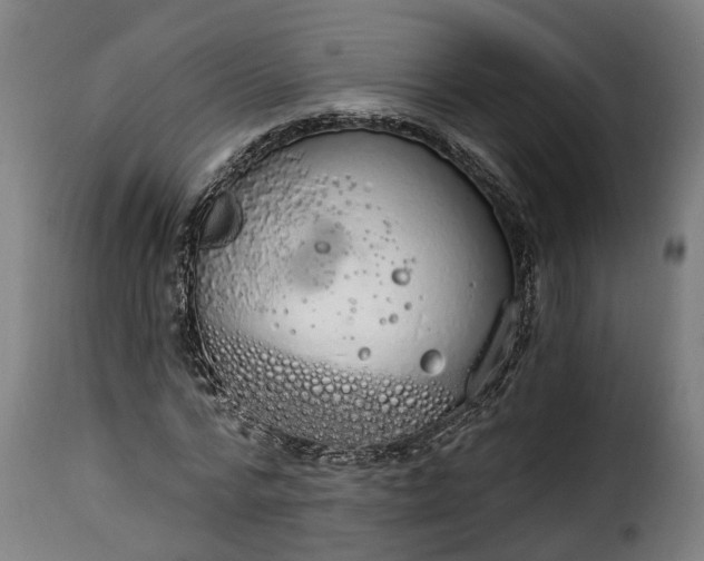 X0000115650776200911241733