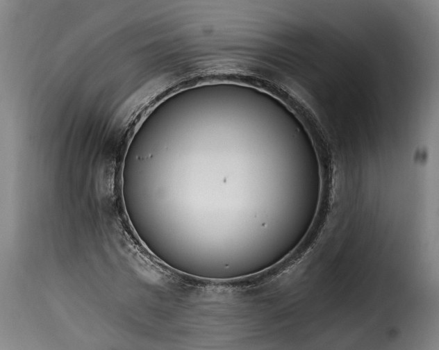 X0000115650777200911241733