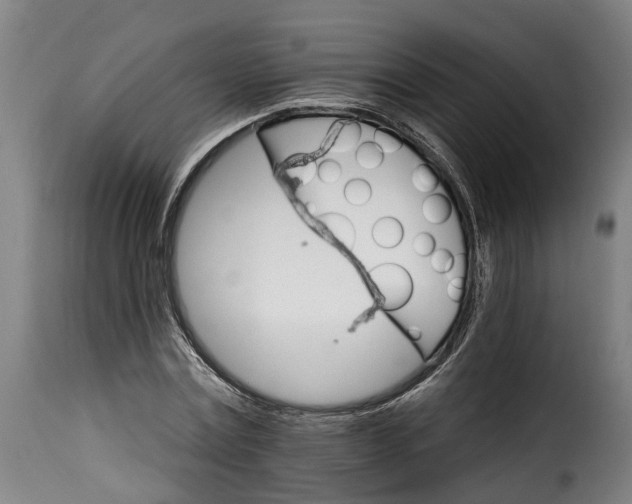 X0000115650779200911241733