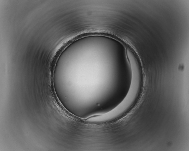 X0000115650781200911241733