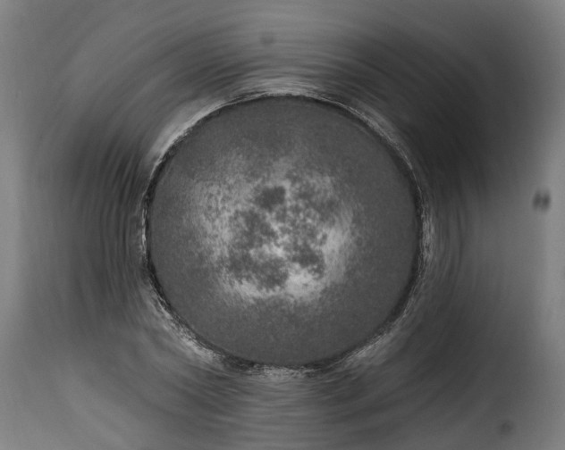 X0000115650782200911241733