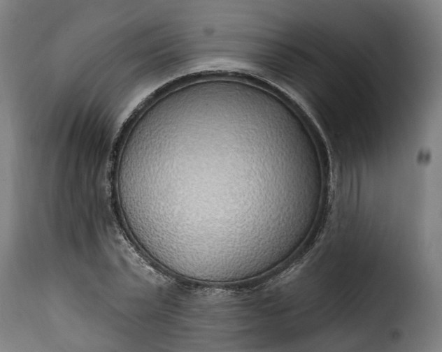 X0000115650783200911241733