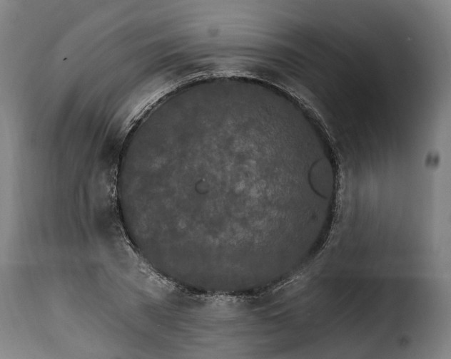 X0000115650785200911241733