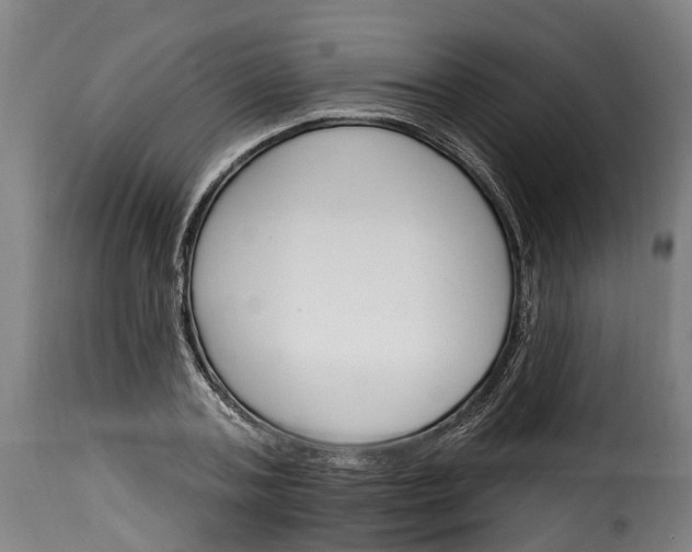 X0000115650787200911241733