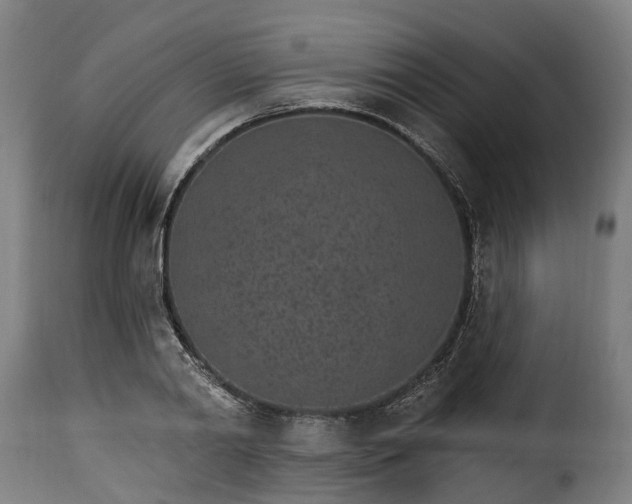 X0000115650790200911241733