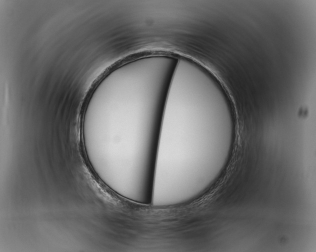 X0000115650791200911241733