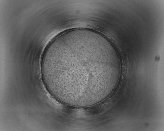 X0000115650792200911241733