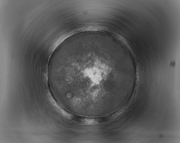 X0000115650794200911241733