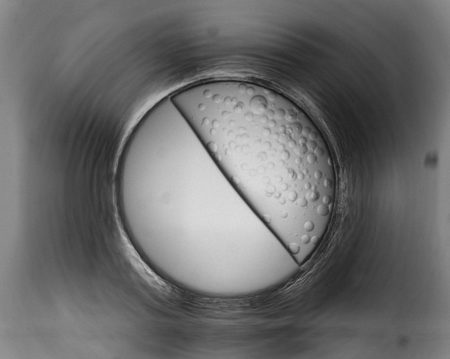 X0000115650795200911241733