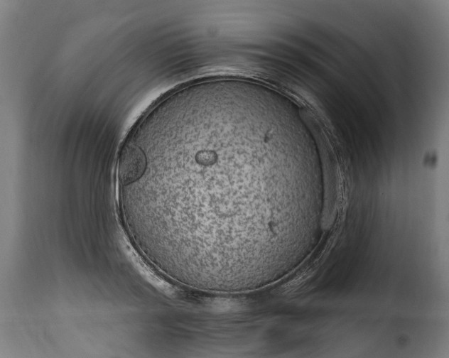 X0000115650796200911241733