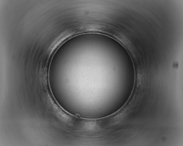 X0000115650798200911241733