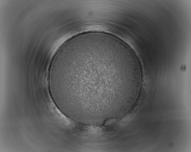 X0000115650799200911241733