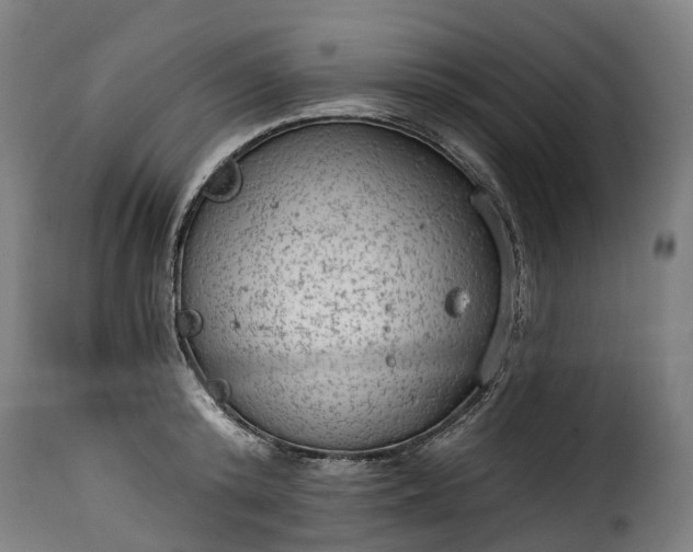 X0000115650800200911241733