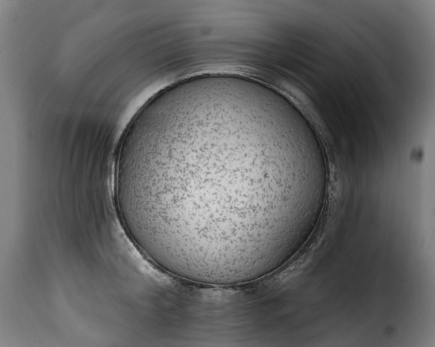 X0000115650804200911241733