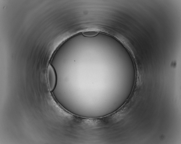 X0000115650805200911241733