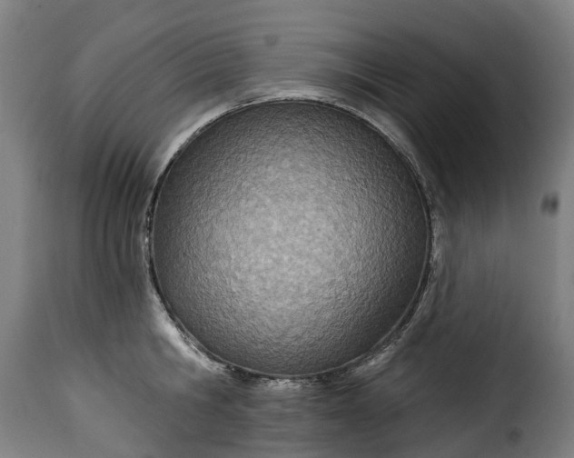 X0000115650806200911241733