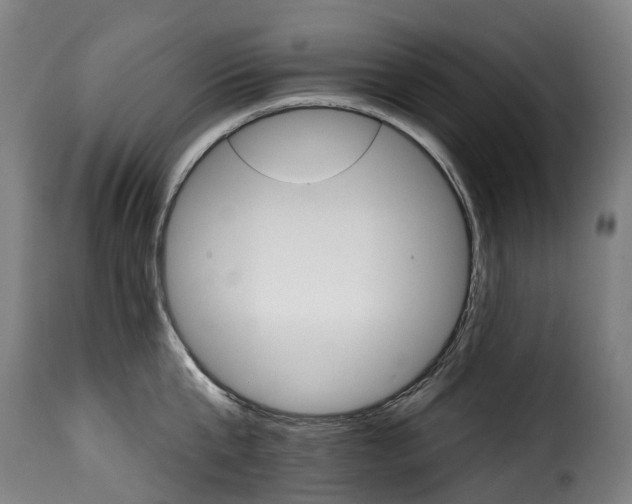 X0000115650807200911241732