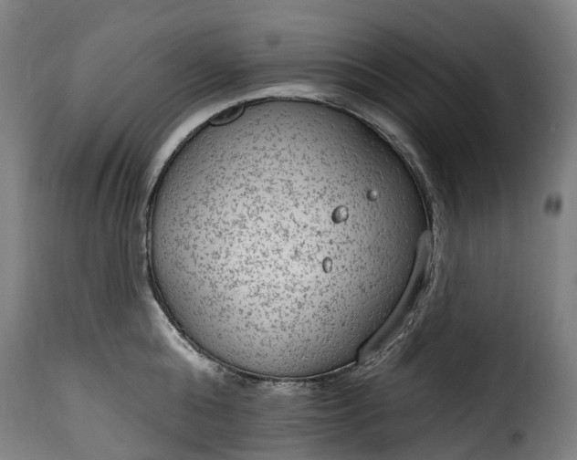 X0000115650808200911241732