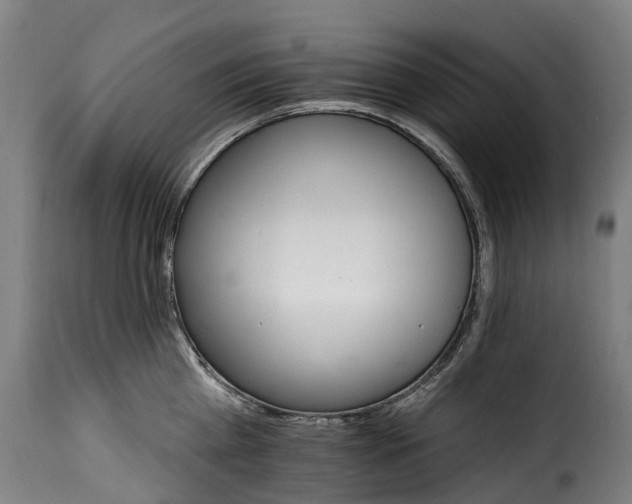 X0000115650809200911241732