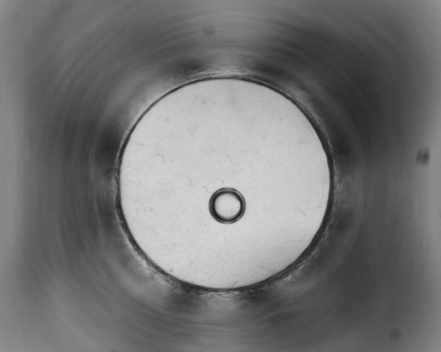 X0000115650810200911241732