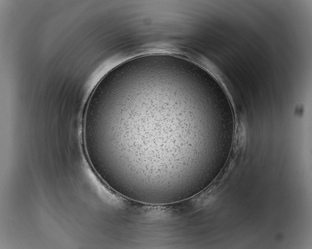 X0000115650811200911241732