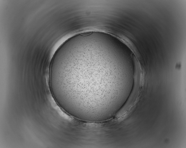 X0000115650812200911241732