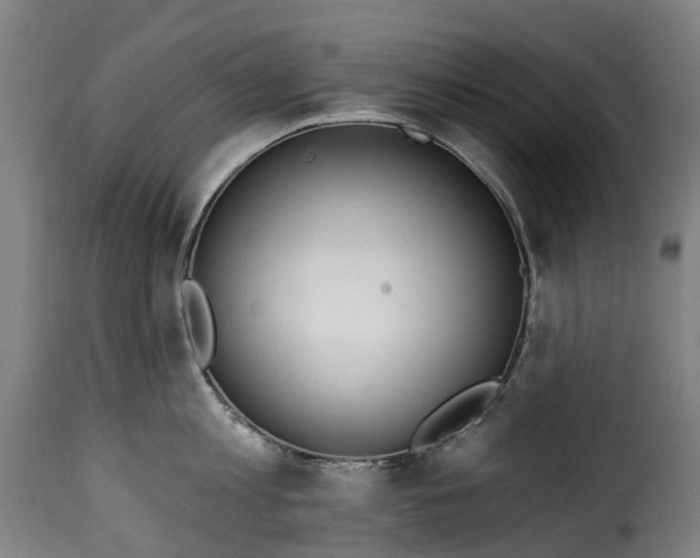 X0000115650813200911241732