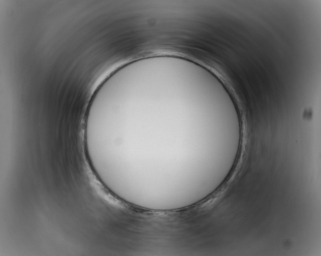 X0000115650814200911241732