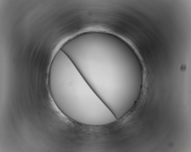 X0000115650815200911241732