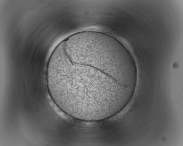 X0000115650816200911241732