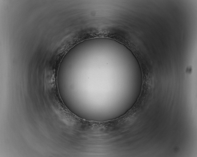 X0000115650818200911241731