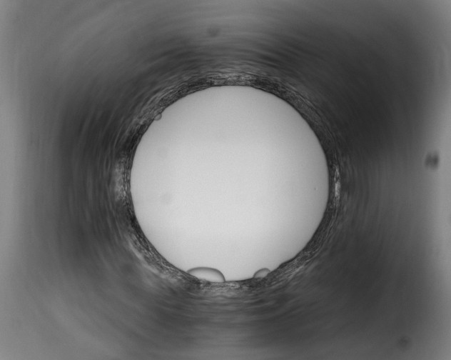 X0000115650819200911241731