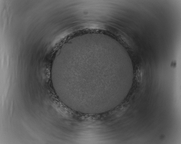 X0000115650821200911241731