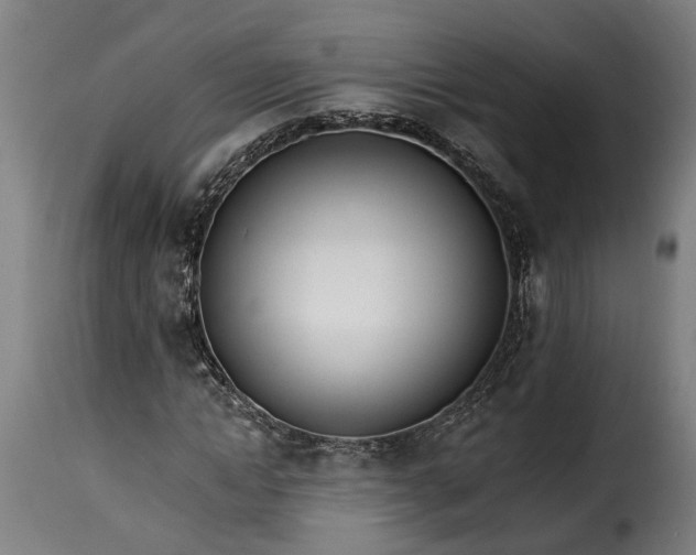 X0000115650822200911241732