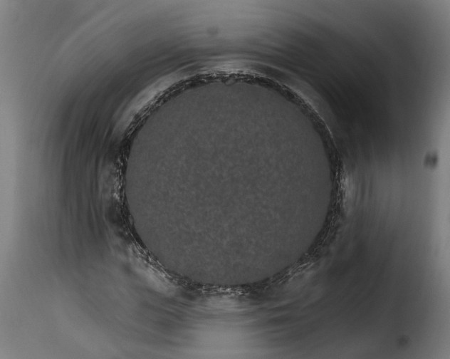 X0000115650823200911241732