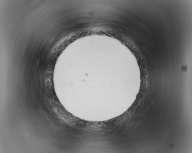 X0000115650824200911241732