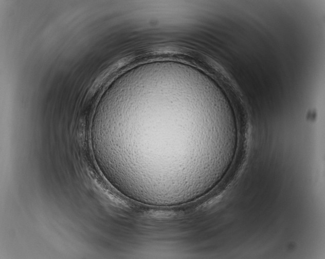 X0000115650825200911241732