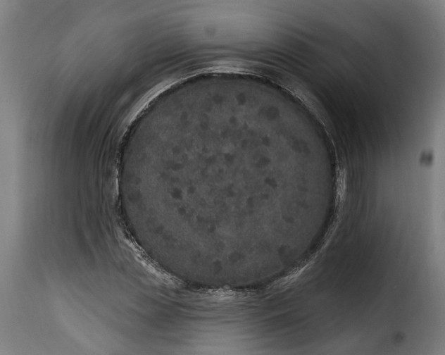 X0000115650829200911241732