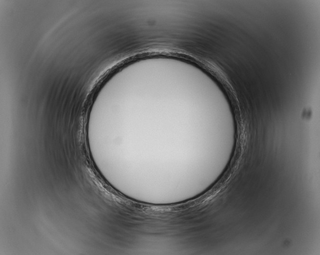 X0000115650831200911241732