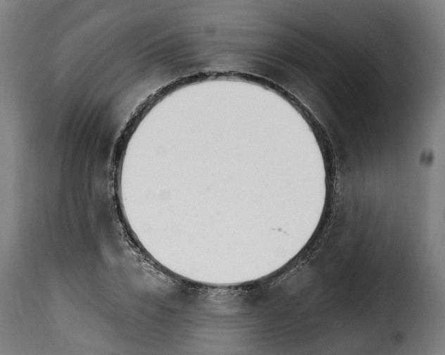 X0000115650832200911241732