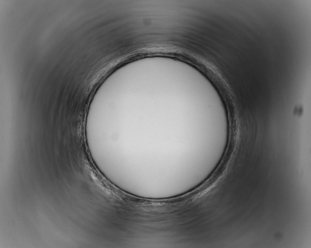 X0000115650833200911241732