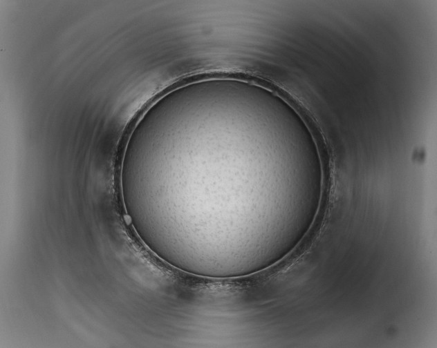 X0000115650834200911241732